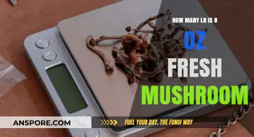 Mushroom Measurements: Fresh to Dry Weight Conversions