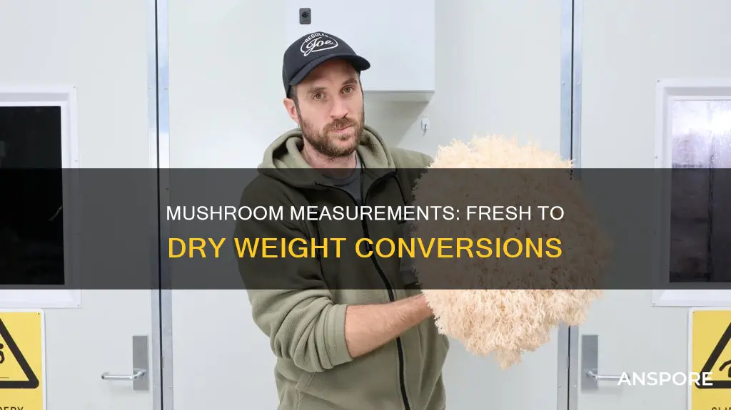 how many lb is 8 oz fresh mushroom