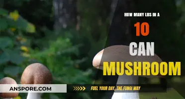 Mushroom Can Weight: How Many Pounds in a 10 Can?