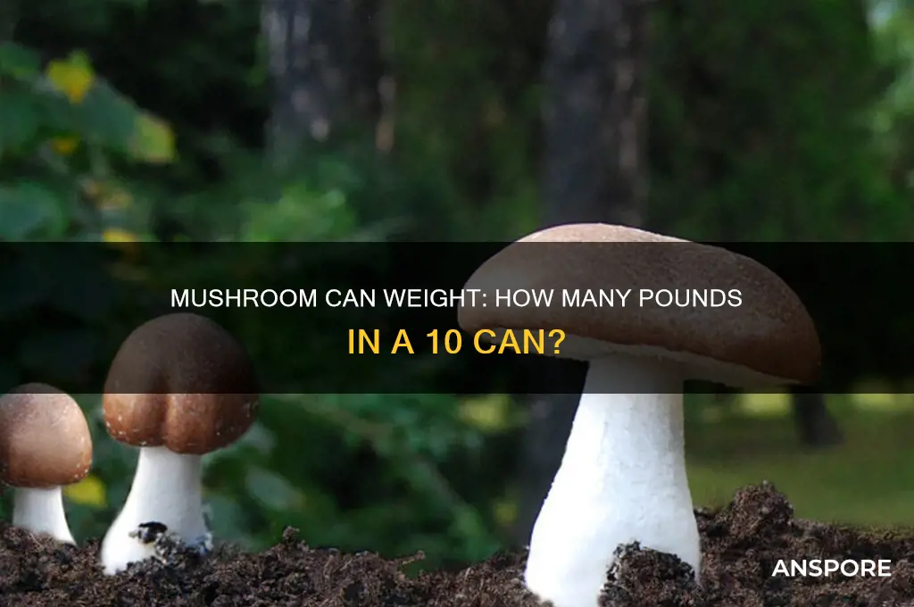 how many lbs in a 10 can mushrooms
