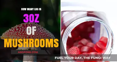 Converting Mushroom Weight: Ounces to Pounds