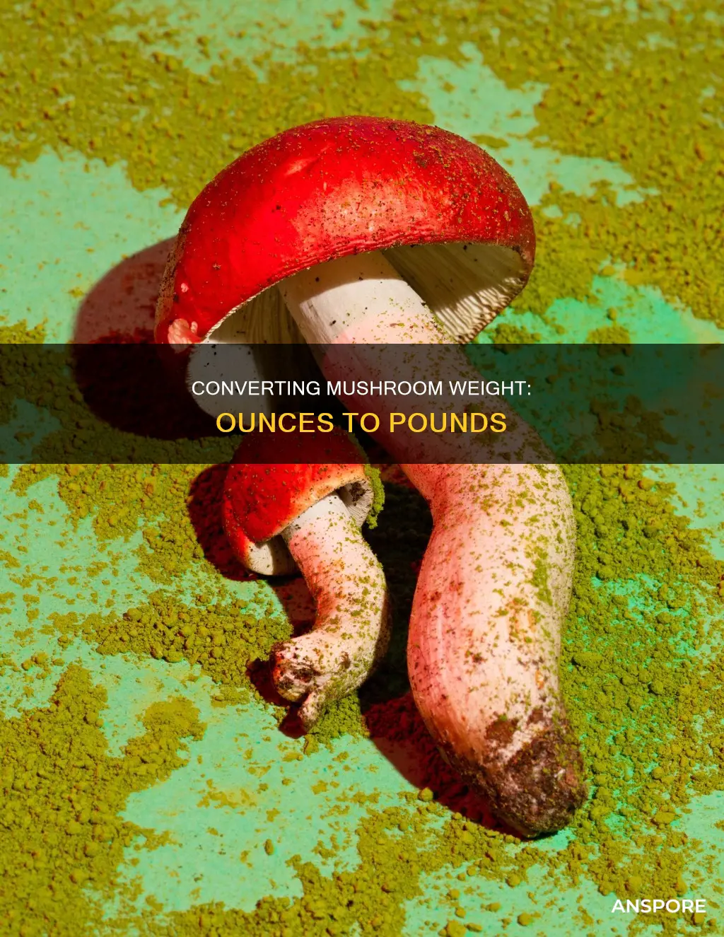 how many lbs is 3oz of mushrooms