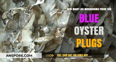 Growing Mushrooms: Plugs to Pounds