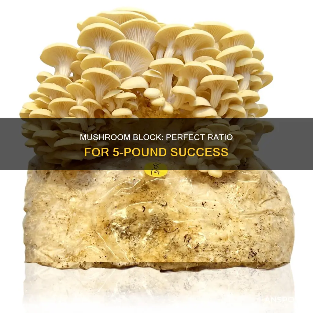 how many lbs of mushroom for a 5 pound block