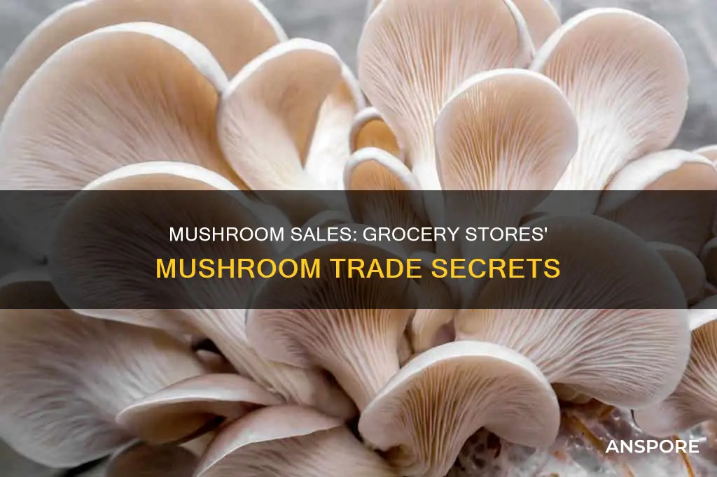 how many lbs of mushrooms do grocery stores sell