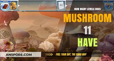 Mushroom 11: Unlocking Levels and Challenges