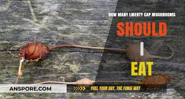 Liberty Cap Dosage Guide: Safe Consumption Tips for Psychedelic Mushrooms