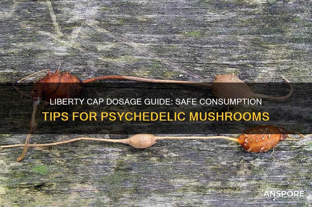 how many liberty cap mushrooms should i eat