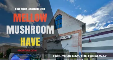 Mellow Mushroom's Impressive Reach: Locations Unveiled
