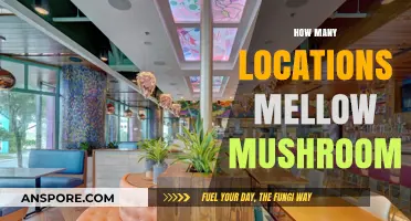 Mellow Mushroom's Impressive Reach Across America