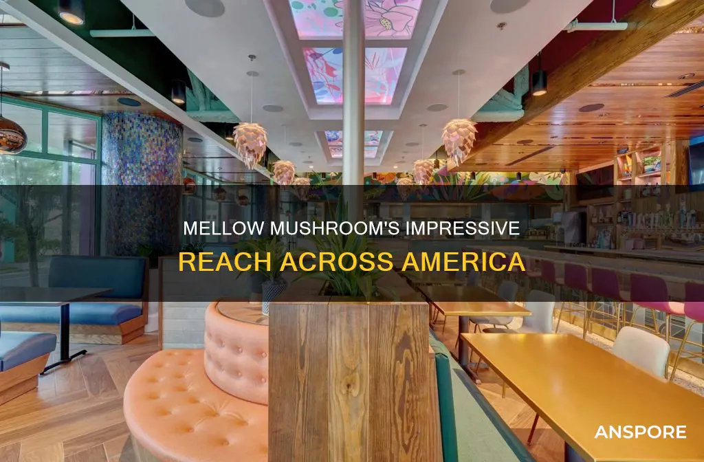 how many locations mellow mushroom