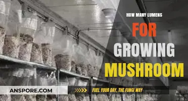 Optimal Lumens for Mushroom Cultivation: A Comprehensive Lighting Guide