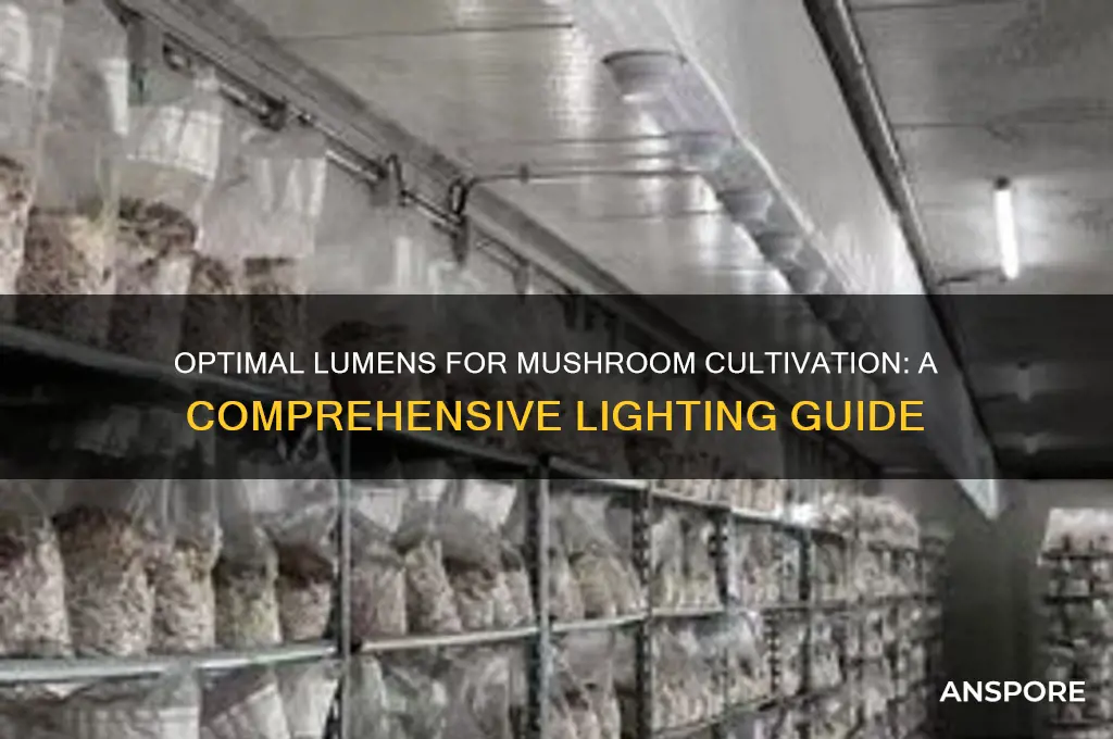 how many lumens for growing mushrooms