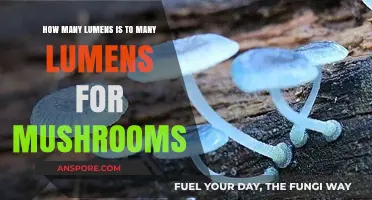 Lumens for Mushrooms: How Much Light Is Too Much?