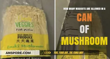 Understanding FDA Limits on Maggots in Canned Mushrooms: What's Acceptable?