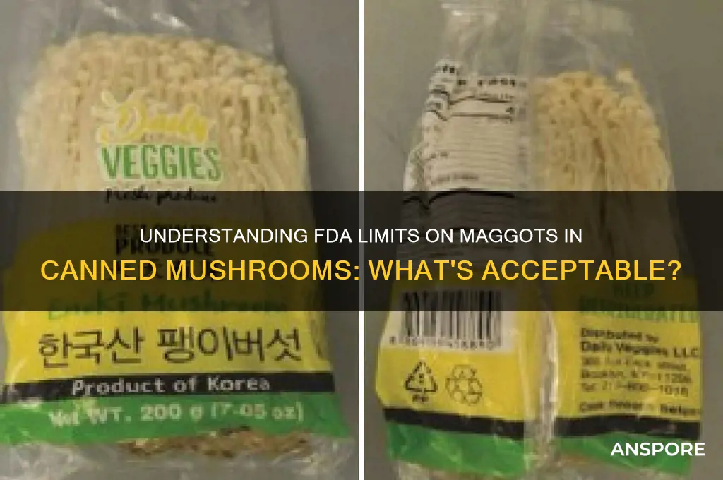 how many maggots are allowed in a can of mushrooms