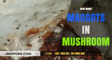 Maggot Infestation in Mushrooms: How Many is Too Many?