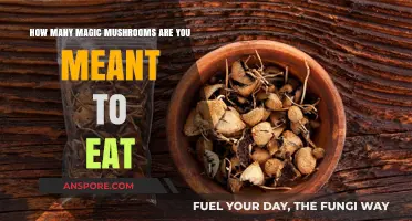 Safe Dosage Guide: How Many Magic Mushrooms Should You Consume?