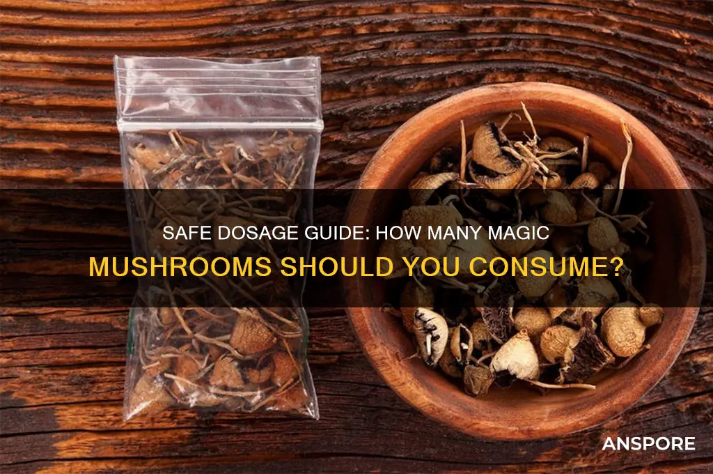 how many magic mushrooms are you meant to eat