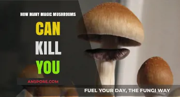 Deadly Dose: Understanding the Lethal Limits of Magic Mushrooms