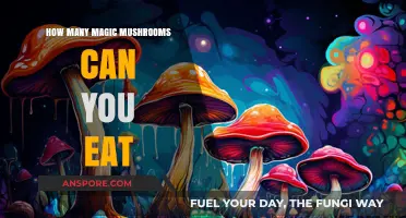Safe Dosage Guide: How Many Magic Mushrooms Can You Eat?
