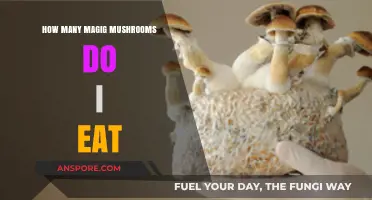 How Many Magic Mushrooms Should You Eat: A Safe Dosage Guide