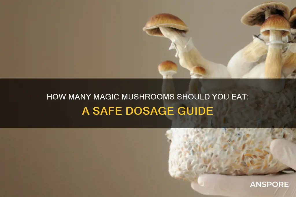 how many magig mushrooms do i eat