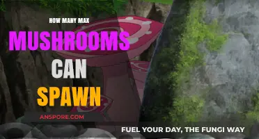 Exploring the Maximum Number of Mushrooms That Can Spawn in a Game