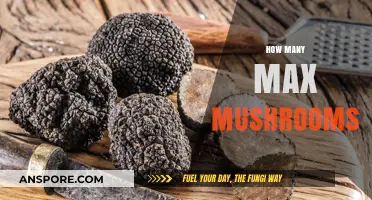 Mushroom Picking: Maximizing Your Harvest