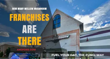 Mellow Mushroom's Franchise Growth: A Comprehensive Overview