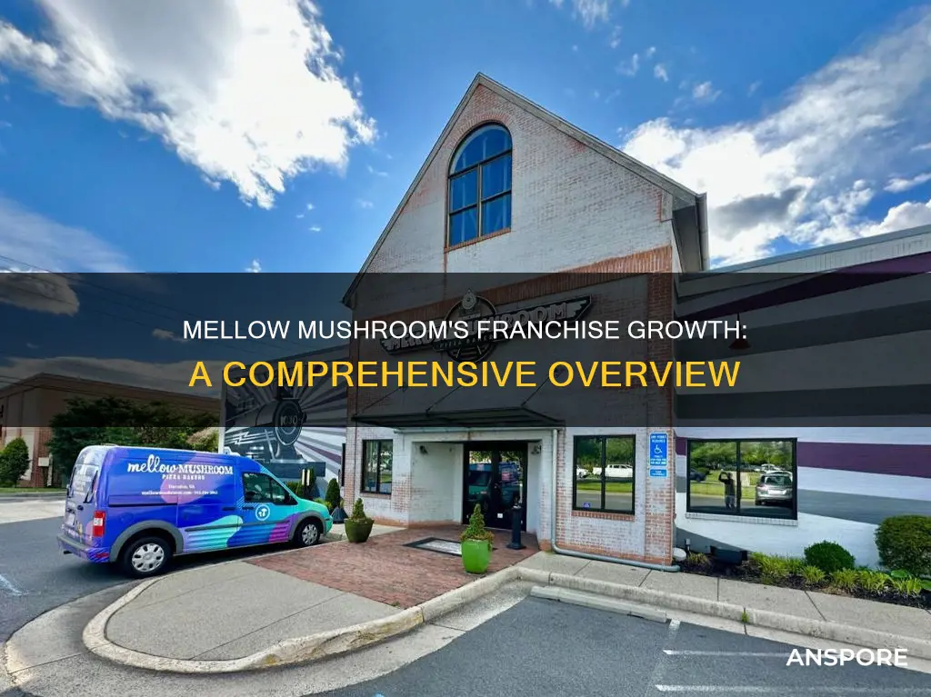 how many mellow mushroom franchises are there
