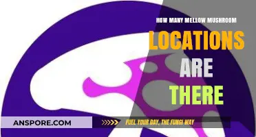 Discover the Total Number of Mellow Mushroom Locations Nationwide