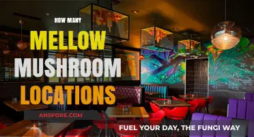 Mellow Mushroom's Surprising Reach: Locations Unveiled