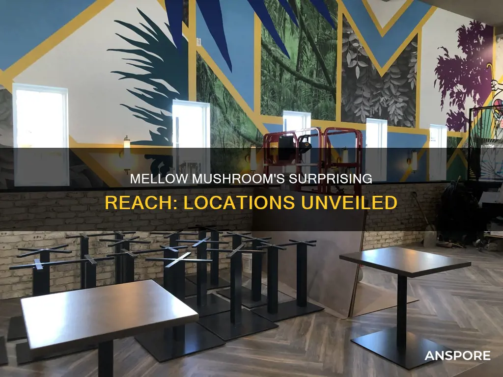 how many mellow mushroom locations