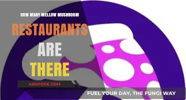 Discovering the Total Number of Mellow Mushroom Restaurants Nationwide