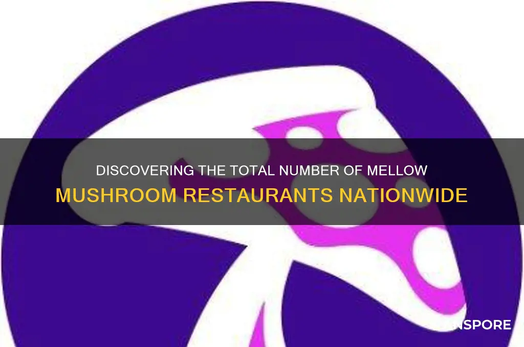 how many mellow mushroom restaurants are there
