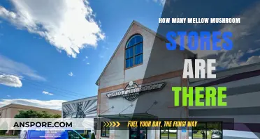 Mellow Mushroom's Rapid Expansion: Store Count Revealed