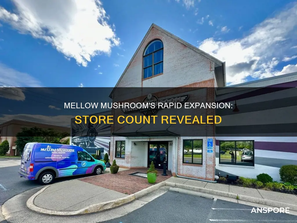 how many mellow mushroom stores are there