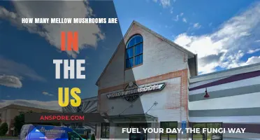 Mellow Mushroom's US Expansion: A Nationwide Presence