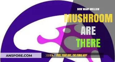 Exploring the Total Number of Mellow Mushroom Locations Nationwide