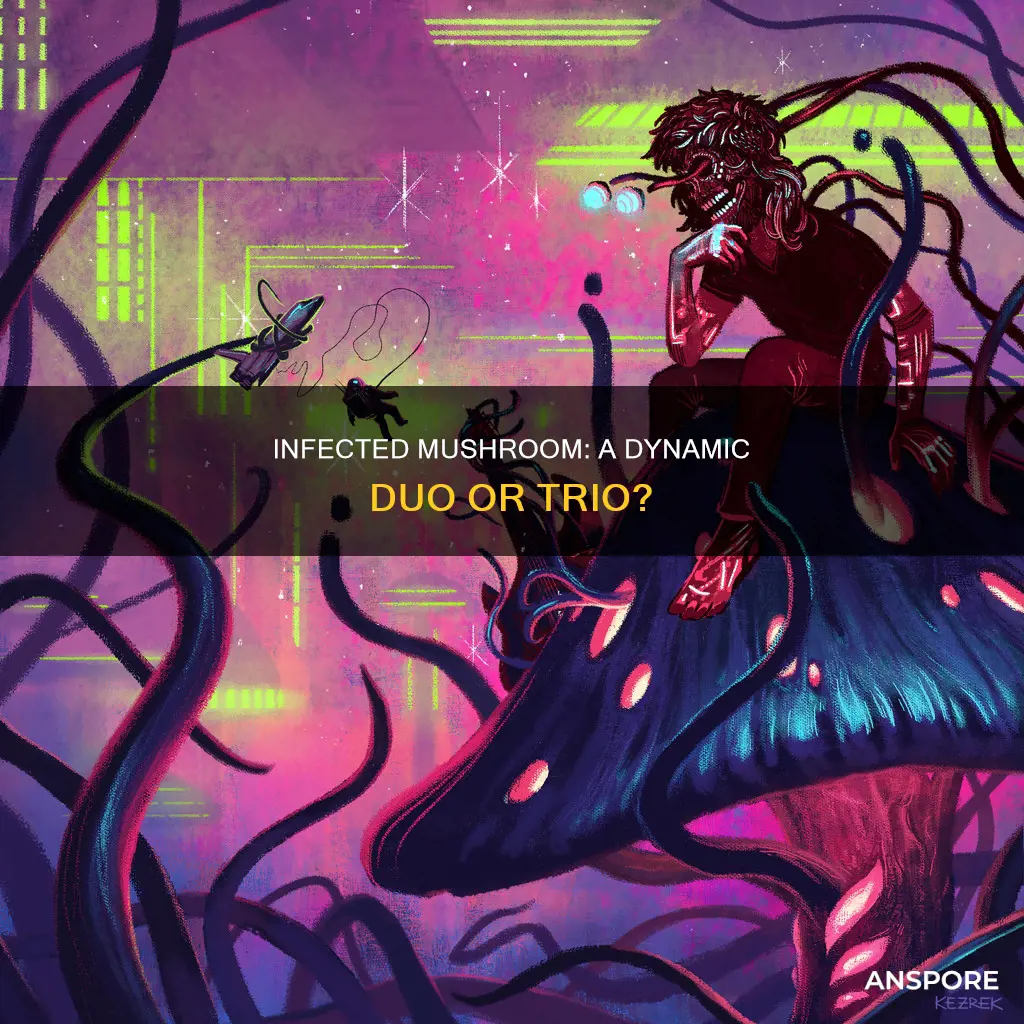 how many members in infected mushroom