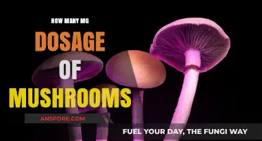 Mushroom Microdosing: Finding Your Ideal Milligram Range