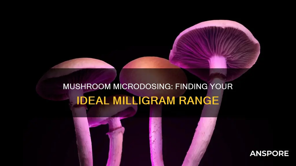how many mg dosage of mushrooms