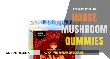 Mushroom Gummies: Understanding Milligrams and Effects