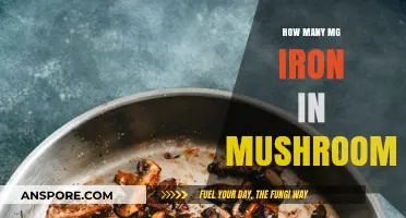 Iron-rich Mushrooms: Nature's Nutritional Powerhouse