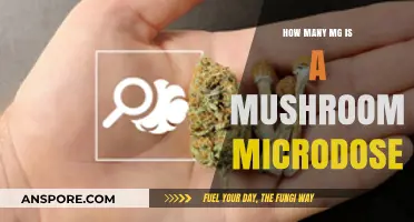 Microdosing Mushrooms: Effective Milligrams for a Microdose