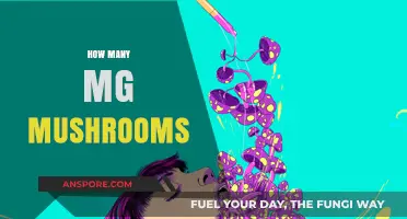 Microdosing Magic Mushrooms: How Many Milligrams?