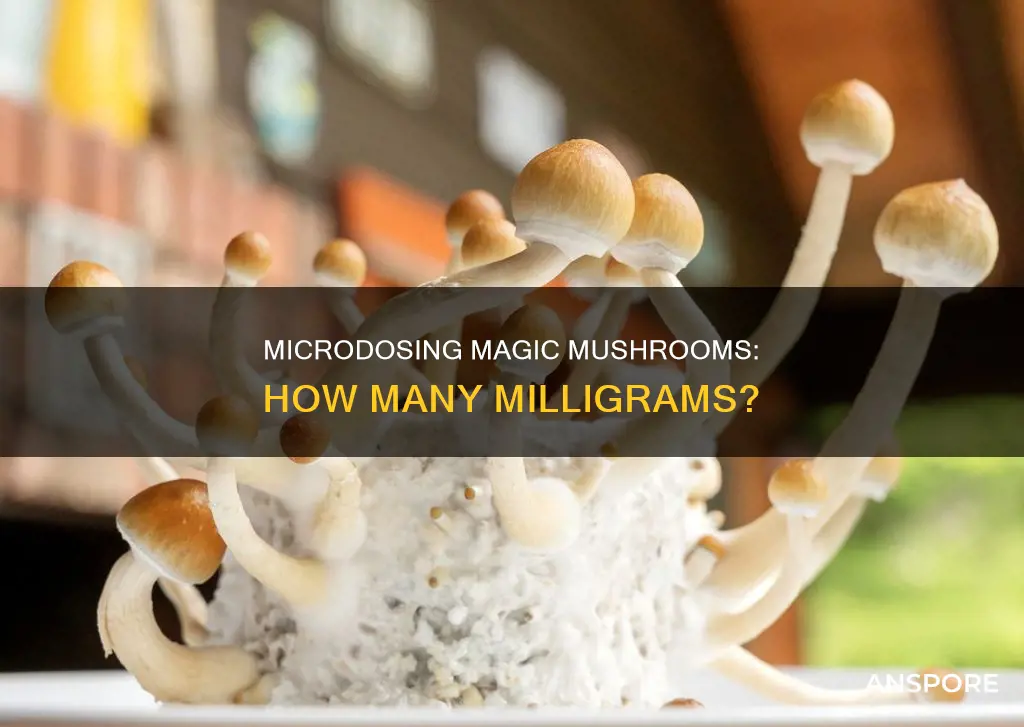 how many mg mushrooms