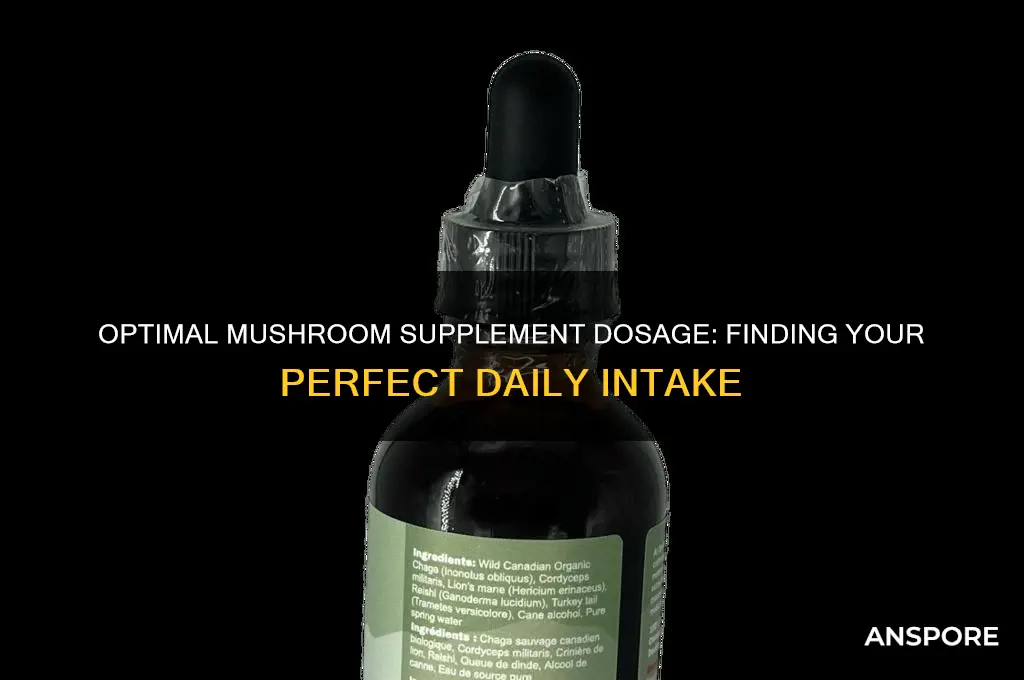 how many mg of mushroom supplements should i take