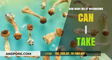 Safe Mushroom Dosage: How Many MG Should You Consume?